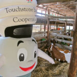 CFL Charlie makes a visit to the livestock barn, as he represents  Shelby Electric Cooperative at the Shelby County Fair.