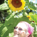 1Lisa and sunflower
