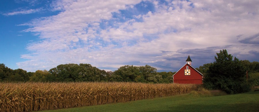 Turkey Tracks pattern on barn owned by local newspaper The Daily-Journal in Kankakee County  CROP AS NEEDED FOR COVER SHOT