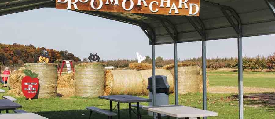 Brooms-Orchard-10-12-011