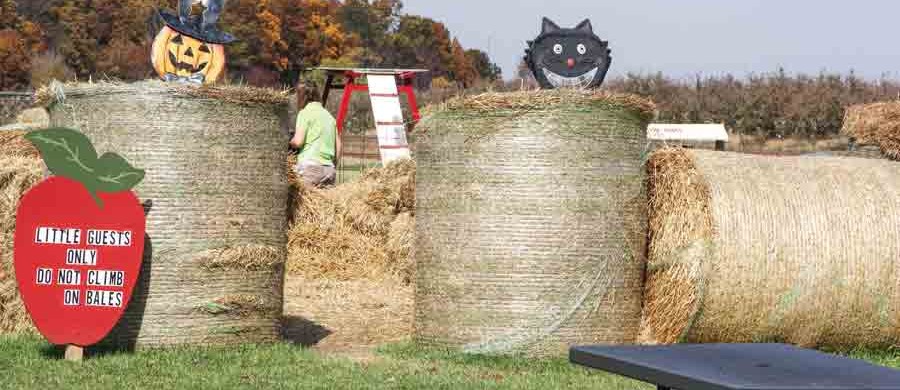 Brooms-Orchard-10-12-012