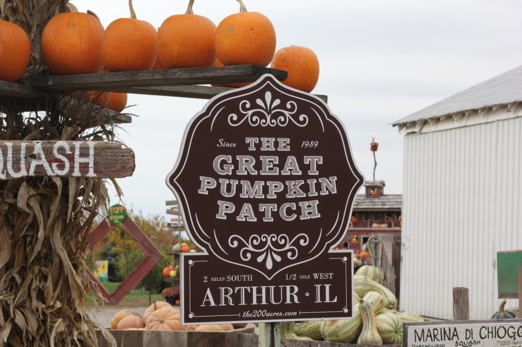 Great Pumpkin Patch 012
