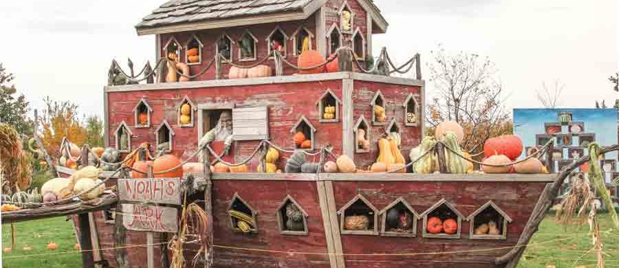 Great-Pumpkin-Patch-015