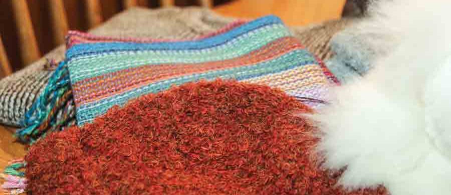 Houchin-Alpaca-Farm-004