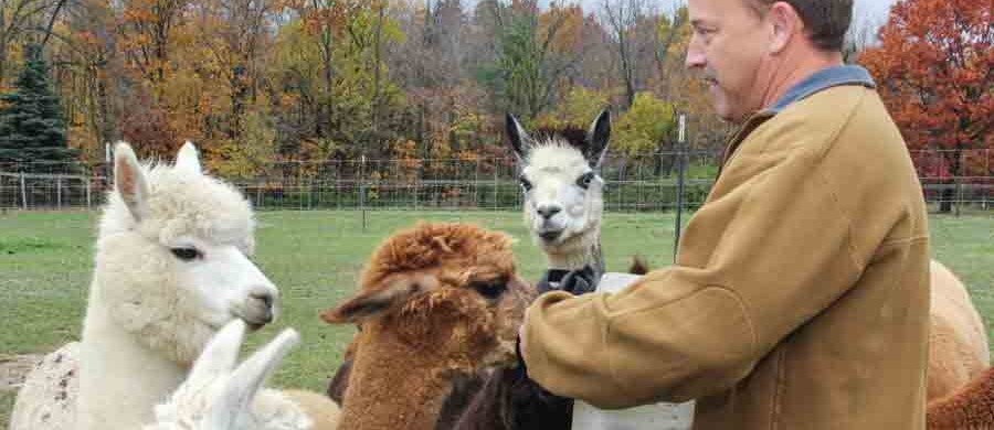 Houchin-Alpaca-Farm-014