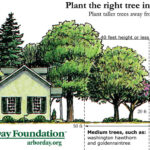 righttreeplaceSourceArborDayFoundation