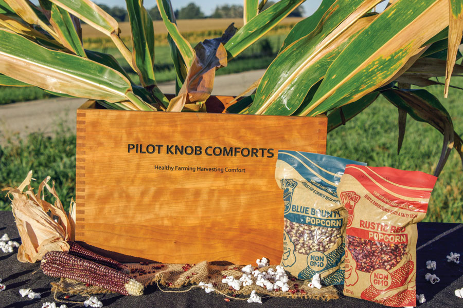 pilot-knob-with-packaging