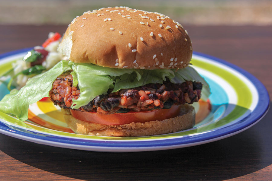 Bubba Burgers, Veggie, Brown Rice and Beans with Beets, Burger