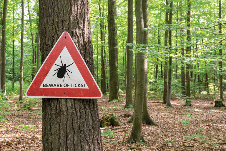Beware of ticks