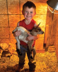 A young boy smiles while holding up a baby goat.