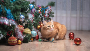 Cat destroys Christmas tree. Pet cat looks guilty because of broken Christmas decoration and broken ball. Christmas tree on floor. Fault of the pet.