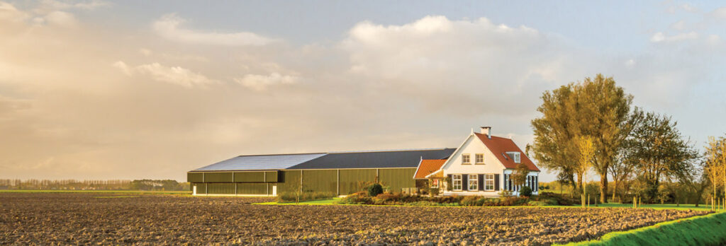 Modern farmhouse with barns in late afternoon light on a sunny day in the early autumn season.