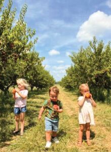 Three small children walk between trees, eating the fruit they'd picked.