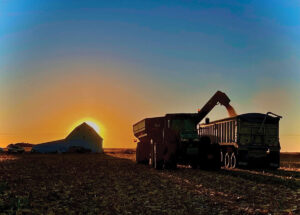 A white barn, combine and seed truck at sunset