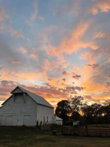 A white barn at sunset