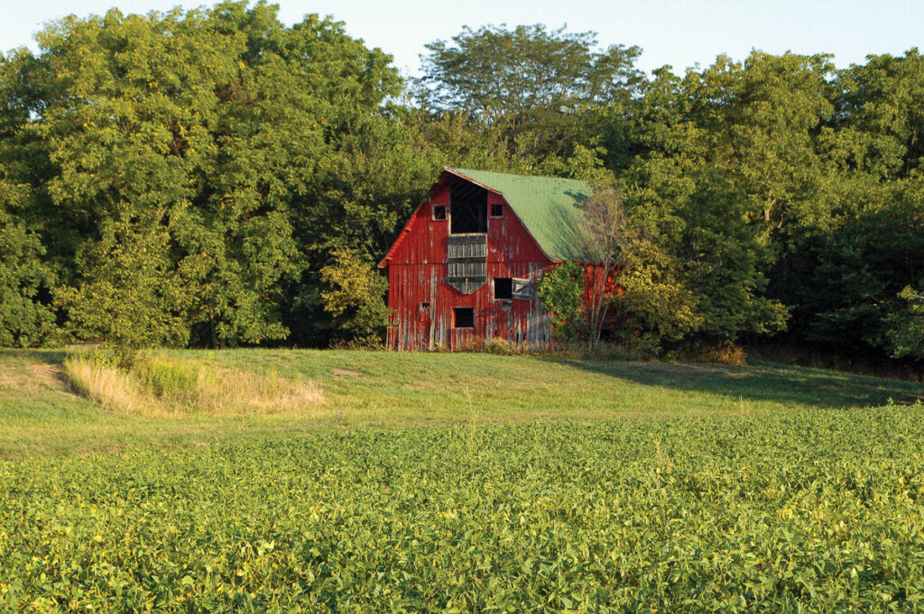 Tucked into trees, a dilapidated red barn with a green roof can be seen