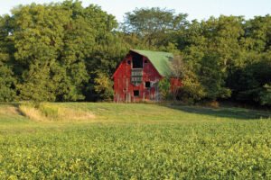 Tucked into trees, a dilapidated red barn with a green roof can be seen