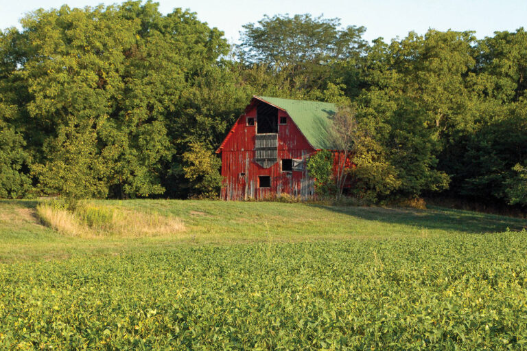 Snap Shots – Illinois Country Living Magazine