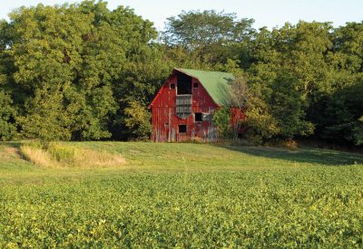 Tucked into trees, a dilapidated red barn with a green roof can be seen