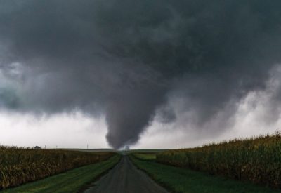 Tornado crossing the road lined by corn fields