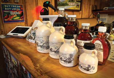 WEB_645751835_1363008829204926_7378954486302018486_n