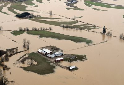 Flooded farmland